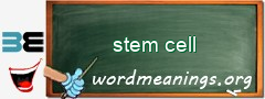 WordMeaning blackboard for stem cell